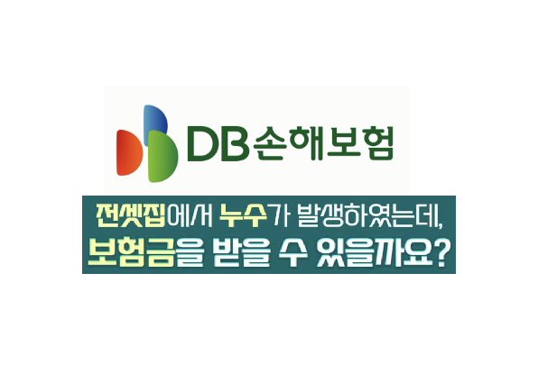 DB손해보험 일배책 청구 방법 및 보상 범위 완벽 정리